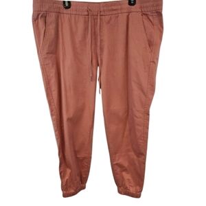 3/$25 GAP Size XL Pink Jogger Pants